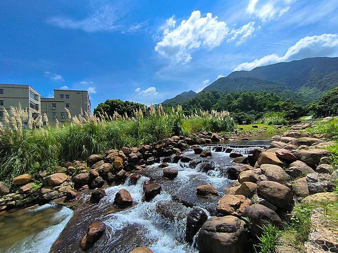 汽车平均油耗：理解、优化与节能